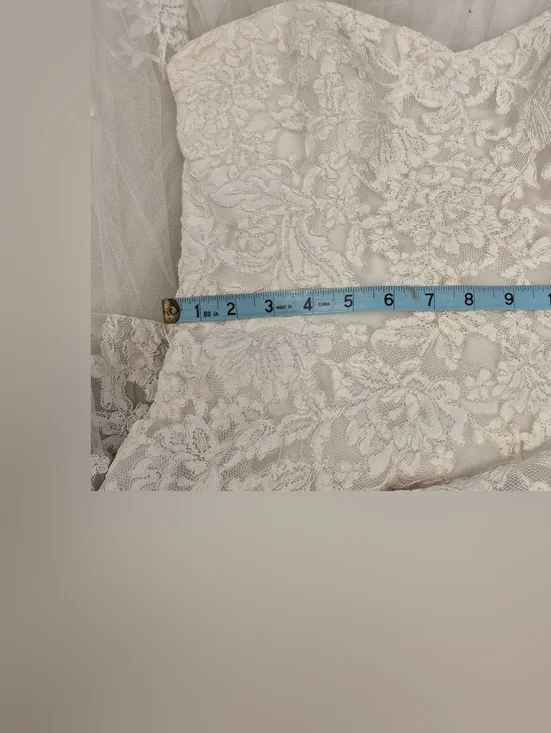 Pronovias Alcanar Lace & Tulle A-Line Wedding Dress - US 12 - Bustle Ready - Picture 13 of 16